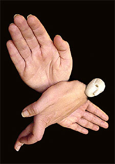 Imagen del espectáculo 'Los mundos de Fingerman'.