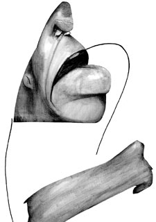 "Aprovecho mi fuerza y velocidad"