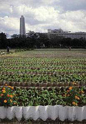 La UEx colabora con la Universidad de Matanzas en la formación de especialistas en Agroecología