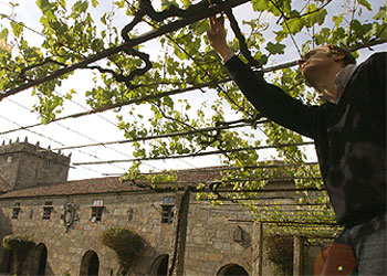 Las bodegas propuestas en las seis rutas pueden visitarse, aunque muchas de ellas piden una reserva con antelación. En la foto, el patio de la bodega Palacio de Fefiñanes, en Cambados (Pontevedra).