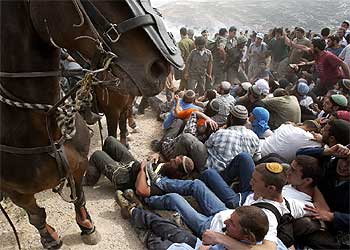 LA RESISTENCIA DE LOS COLONOS.