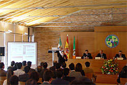 Encontrar trabajo de forma interactiva