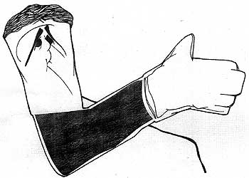 La experiencia del novato