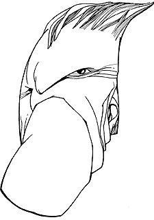 "No estábamos preparados para llegar hasta aquí"