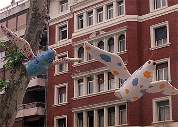 Palomas de tres metros