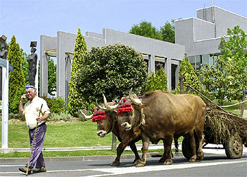 Novedad y tradición