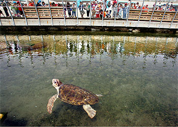 Nuevos inquilinos en el recinto del Besòs