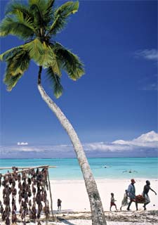 La mayorista Iberojet ofrece en verano un vuelo chárter entre Madrid y Zanzíbar.