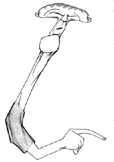 "He traído 'La Pasión de Cristo' pirateada"