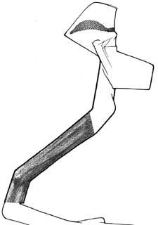 "He aprendido viendo partidos por la tele"