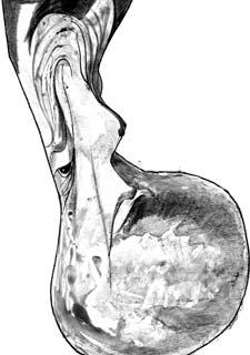 El hombre que llegó, vio y se equivocó