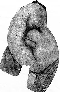 El volcán Pablo Neruda quema el corazón de los chilenos