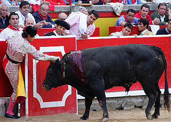 El cuarto  miura  tuvo que ser sacrificado en la plaza el romperse una pata.