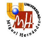 La UMH imparte un curso de verano sobre la Intervención Psicológica en Emergencias y Catástrofes