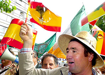 Agricultores españoles, contra la reforma del azúcar