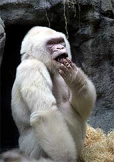 Necrológica retroactiva