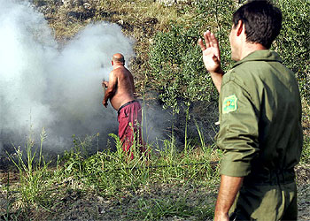 Luchando contra el fuego desde la tierra y el aire