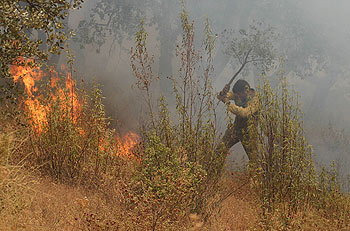 Lucha directa contra el fuego en la localidad onubense de Berrocal.