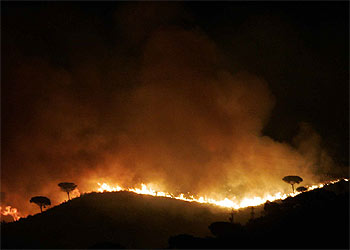 Las llamas del incendio pudieron divisarse desde muchos puntos del área de Barcelona.