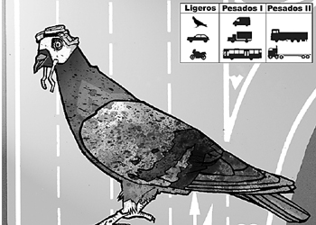 Las palomas no pagan peaje