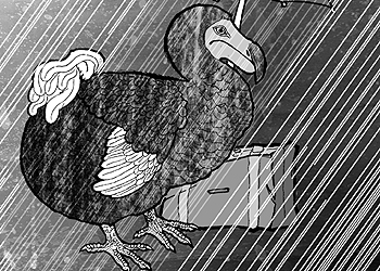 Ecuaciones para un diluvio