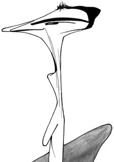 "El fútbol inglés es más humano"