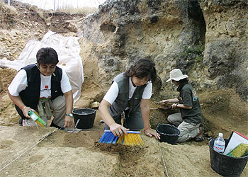 EN BUSCA DEL ESLABÓN PERDIDO.