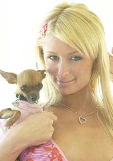 Paris Hilton, con su chihuahua  Tinkerbell,  el pasado marzo.