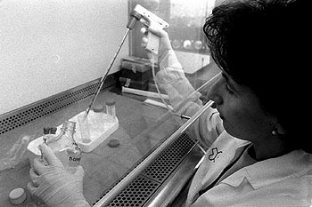 Trabajo en un laboratorio del hospital Vall d'Hebrón, en Barcelona.