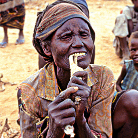 Todo el mundo sabe escribir hipotermia