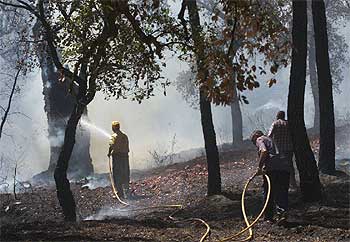 Personal del Infoca, ayer, en una zona incendiada de Valverde del Camino (Huelva).