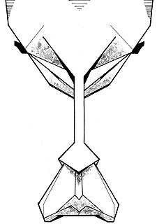 El hombre a quien no le tiembla el pulso