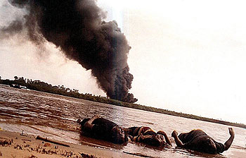 Casi 60 muertos por la explosión de un oleoducto en Nigeria