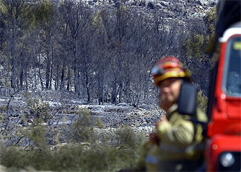 El fuego arrasa 40 hectáreas entre Peñíscola y Càlig