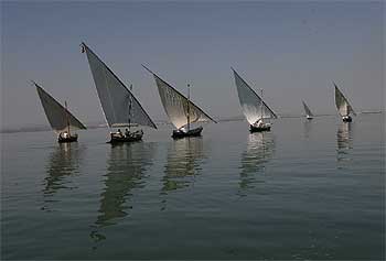 PASEO EN VELA LATINA.