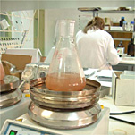 En 2003-2004 se defendieron 93 tesis doctorales en la UEx