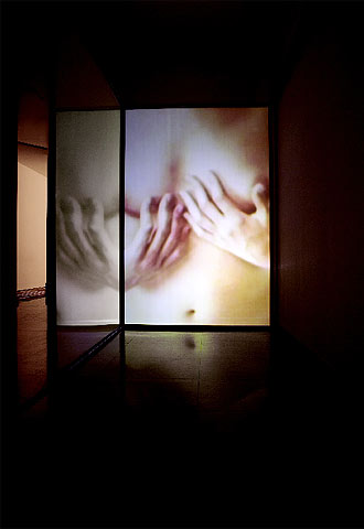 'Espejismo, espejismo' (2002-2004), de Mariela Cádiz.