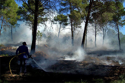 Tres incendios forestales arrasan 20 hectáreas en la provincia de Tarragona y en Anoia