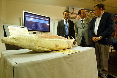 Los impulsores del proyecto presentan, ayer en Granada, el estudio sobre los esturiones.