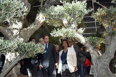 TRASVASE Y RIEGO POR GOTEO.