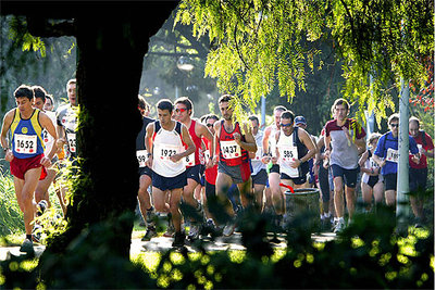 Carrera por Collserola aprovechando el buen tiempo