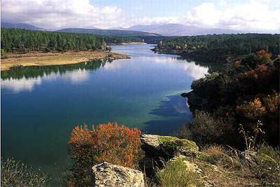 El río Lozoya, a su paso por el pinar de la finca de Las Gariñas. En la otra orilla, la dehesa de El Bosque.