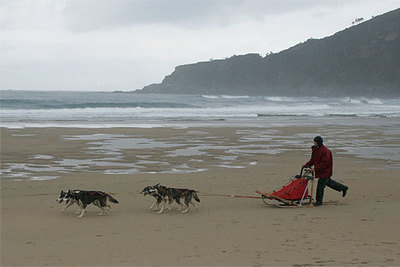Los trineos se deslizan por la playa