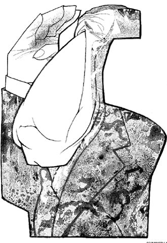 George W. Bush, ¿presidente o predicador?