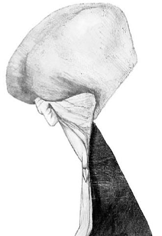 Las primeras influencias de John F. Kerry