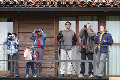 Los 24 bungalós de madera del Mirador de la Vega, cerca de Navalmoral de la Mata (Cáceres), se utilizan también como puestos de observación de aves.