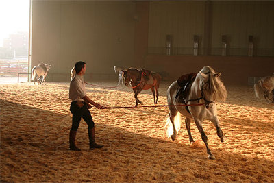 Los caballos de Domecq contarán su historia en Sicab