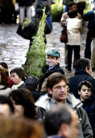 La mayor tienda de árboles de Navidad