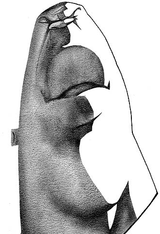 "No hay muchos jugadores que tengan mi  físico"