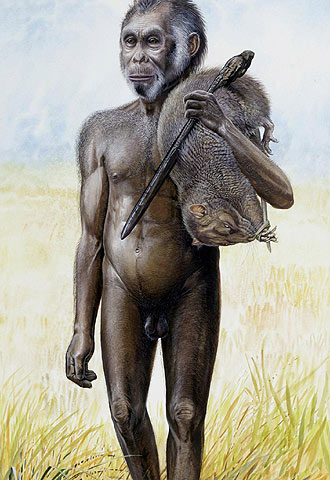 Representación del  Homo floresiensis 